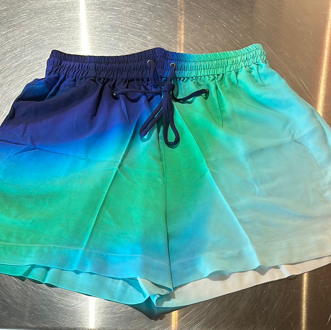 Lenny Niemeyer shorts